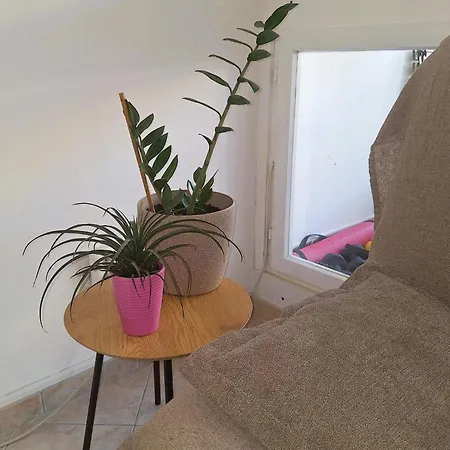 Apartment Mangus
