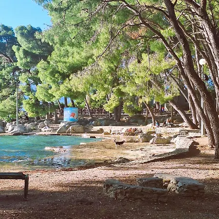 Mangus * 스플리트