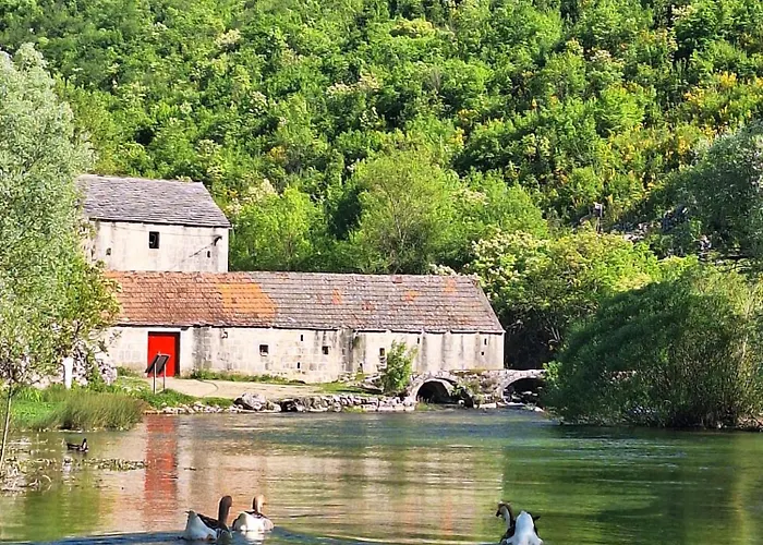 Appartement Mangus *